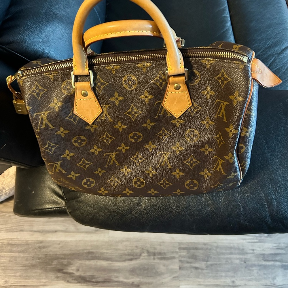 Louis Vuitton Monogram Handbag